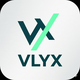 VLYX Schulung